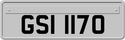 GSI1170