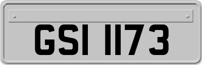 GSI1173