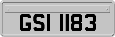 GSI1183