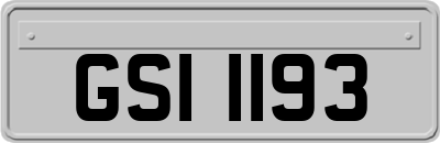 GSI1193