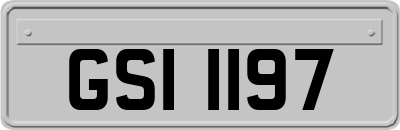 GSI1197