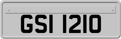 GSI1210