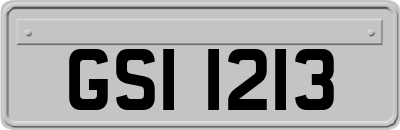GSI1213