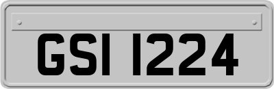 GSI1224