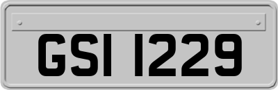 GSI1229