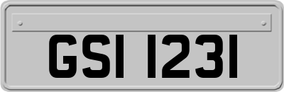 GSI1231