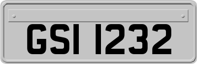GSI1232