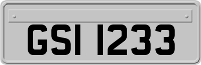 GSI1233