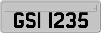 GSI1235