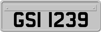 GSI1239