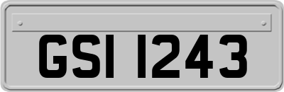 GSI1243