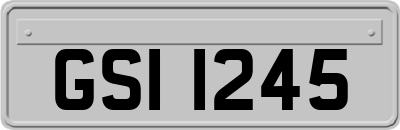 GSI1245