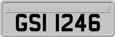 GSI1246