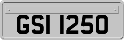 GSI1250