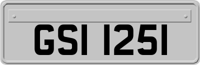 GSI1251