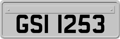 GSI1253