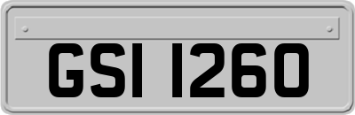 GSI1260