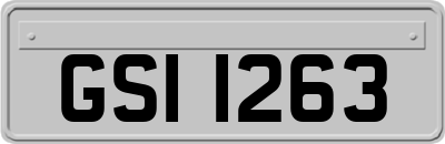 GSI1263