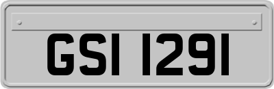 GSI1291