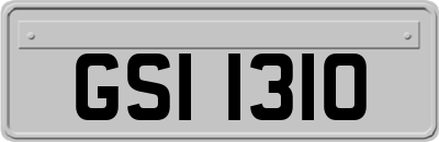 GSI1310