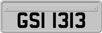 GSI1313