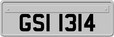 GSI1314