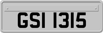 GSI1315