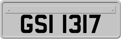 GSI1317