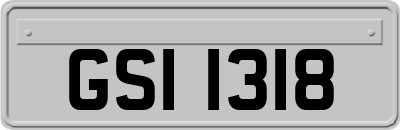 GSI1318