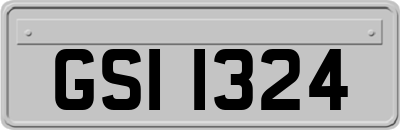GSI1324