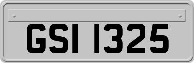 GSI1325