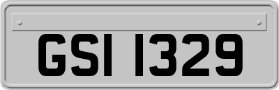 GSI1329