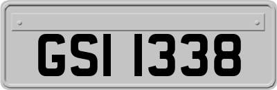GSI1338