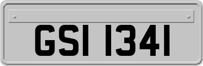 GSI1341