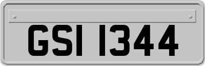 GSI1344