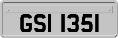 GSI1351