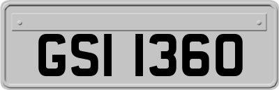 GSI1360