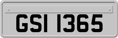 GSI1365