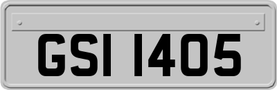 GSI1405