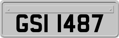 GSI1487