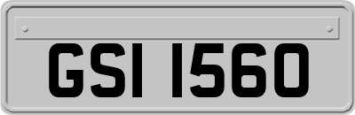 GSI1560