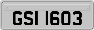 GSI1603