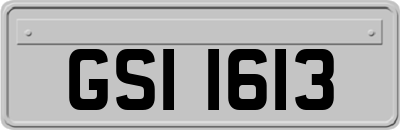 GSI1613