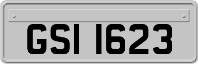 GSI1623