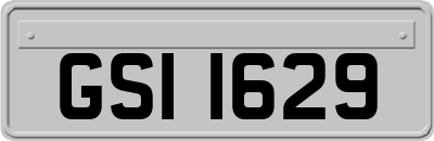 GSI1629