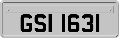 GSI1631