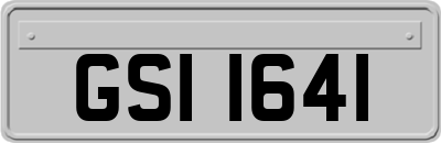 GSI1641