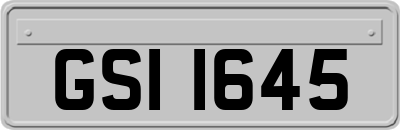 GSI1645