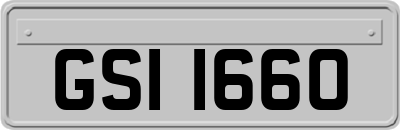 GSI1660