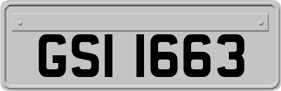 GSI1663